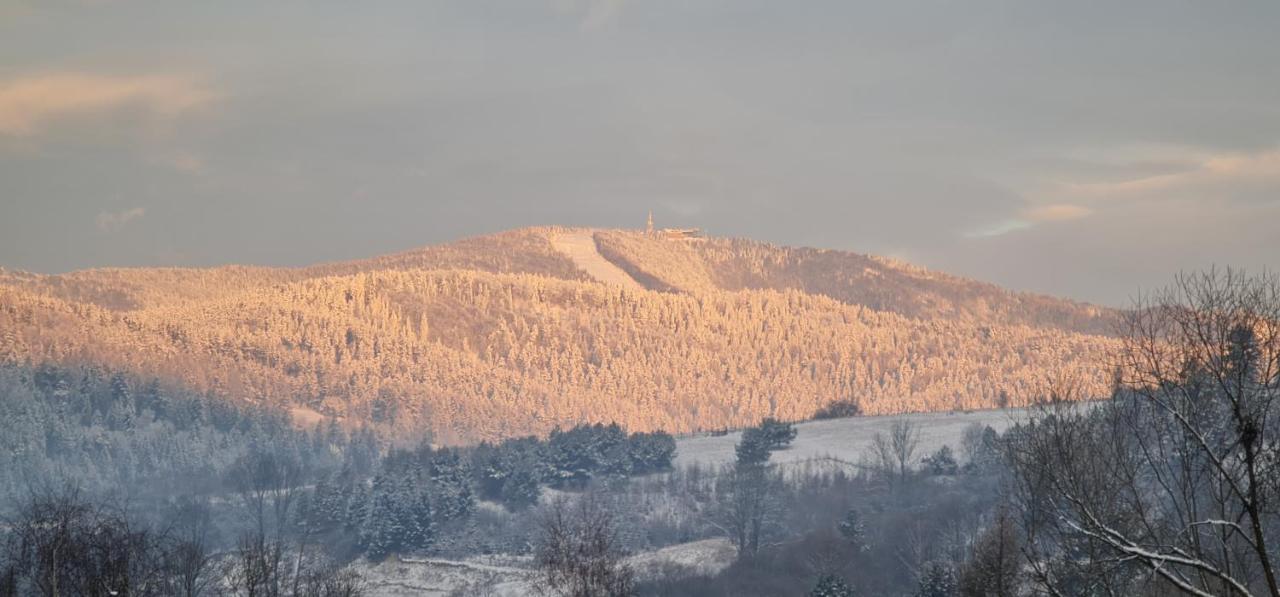 Appartamento Szumia Plaziny Muszyna Esterno foto